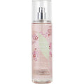 GREEN TEA CHERRY BLOSSOM O6494