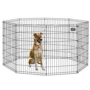 Exercise Pen I1639
