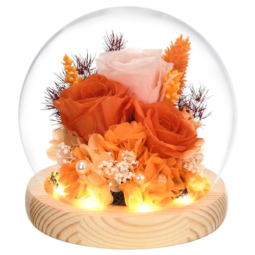 Preserved Real Rose in Glass Dome with LED Light U264