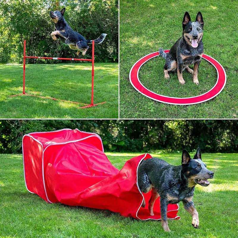 6 Piece Agility Kit E10485