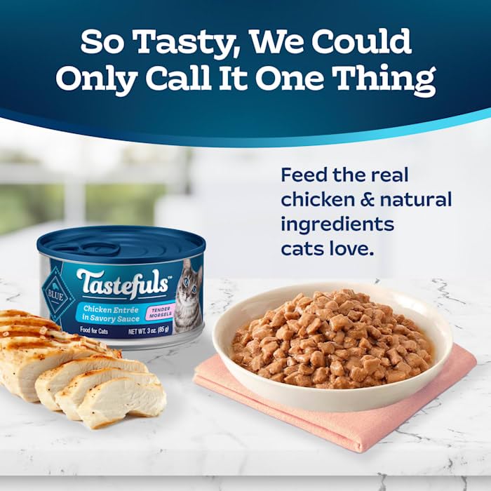 Natural Tender Morsels Wet Cat Food, Chicken Entrée 5.5-oz cans (Pack of 24) Q1685