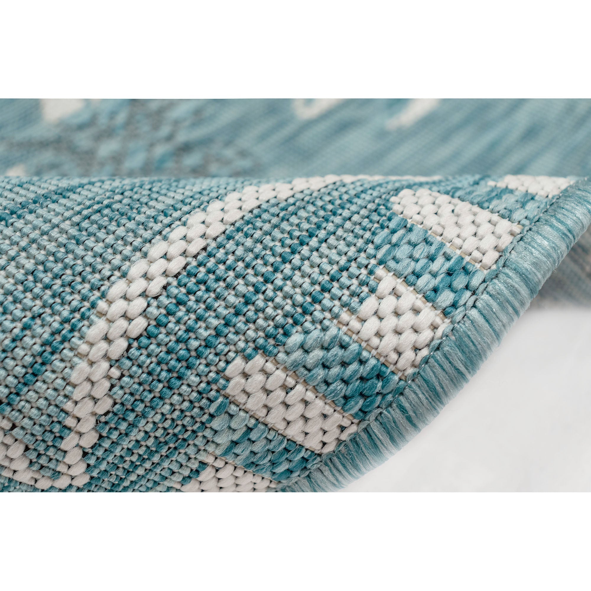 Carmel Dragonfly Indoor Outdoor Area Rug