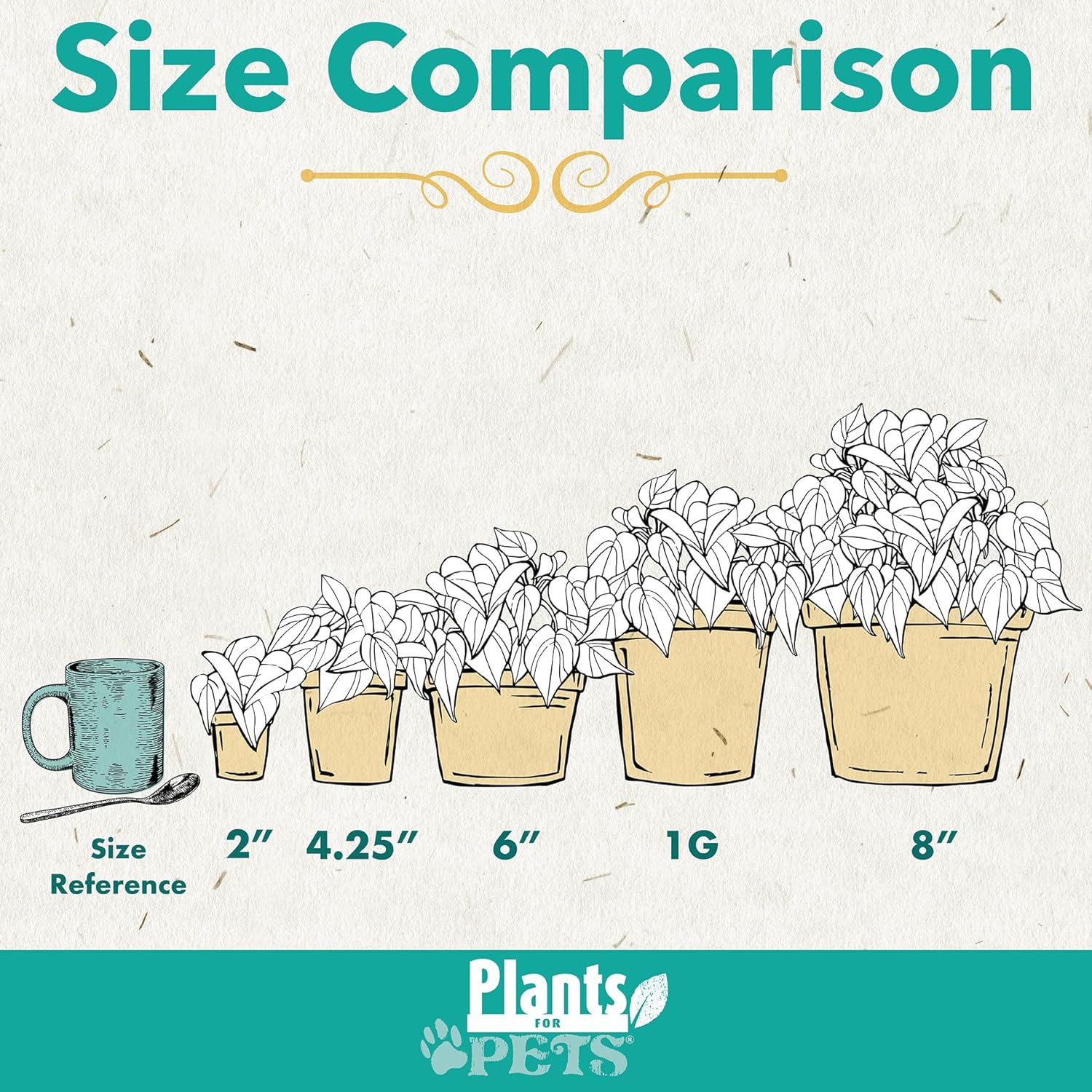 White 6 Inch Plant Pot Live Houseplant T99829