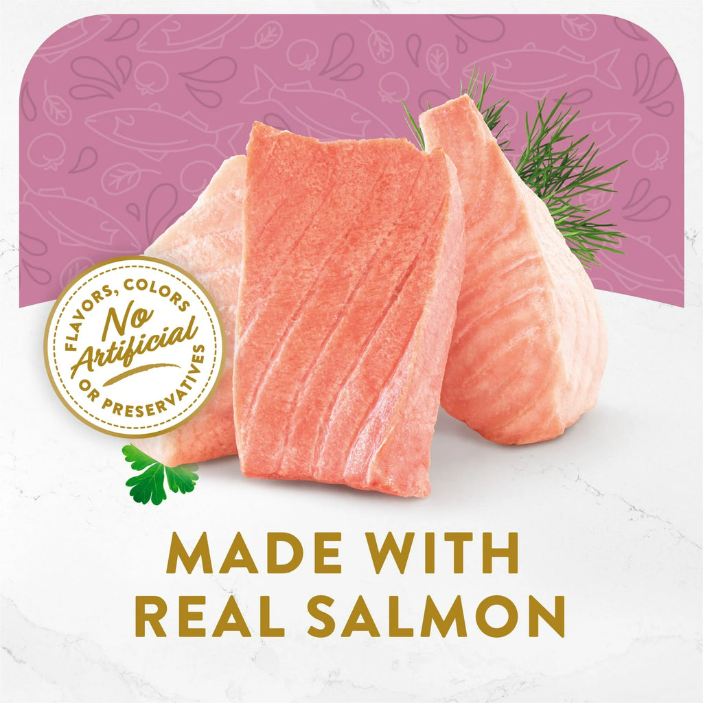1.4 oz Wet Cat Food with Wild Salmon H12143