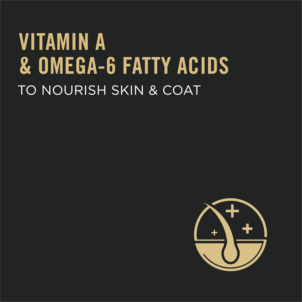 High Protein Chicken & Rice Dry Cat Food, Pack of 2 Z529