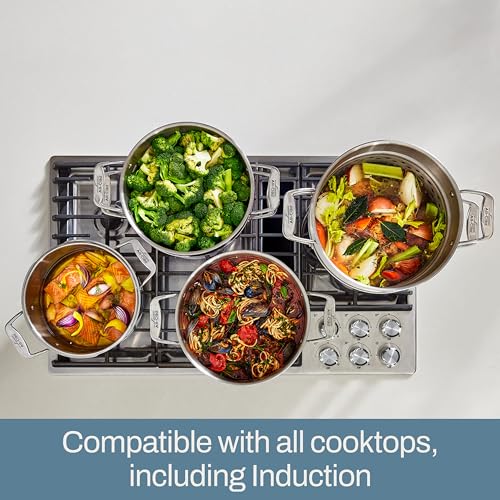 Stainless Steel 6-Quart Multipot with Straining Lid O781