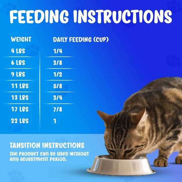 Renal Support Diet Dry Cat Food S723830