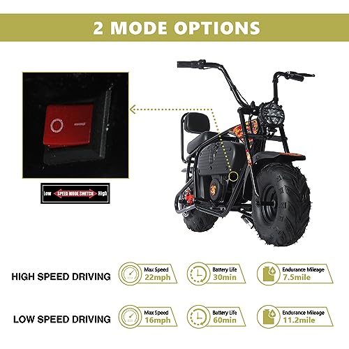 36V Battery Powered Mini Electric Bike for Kids K529