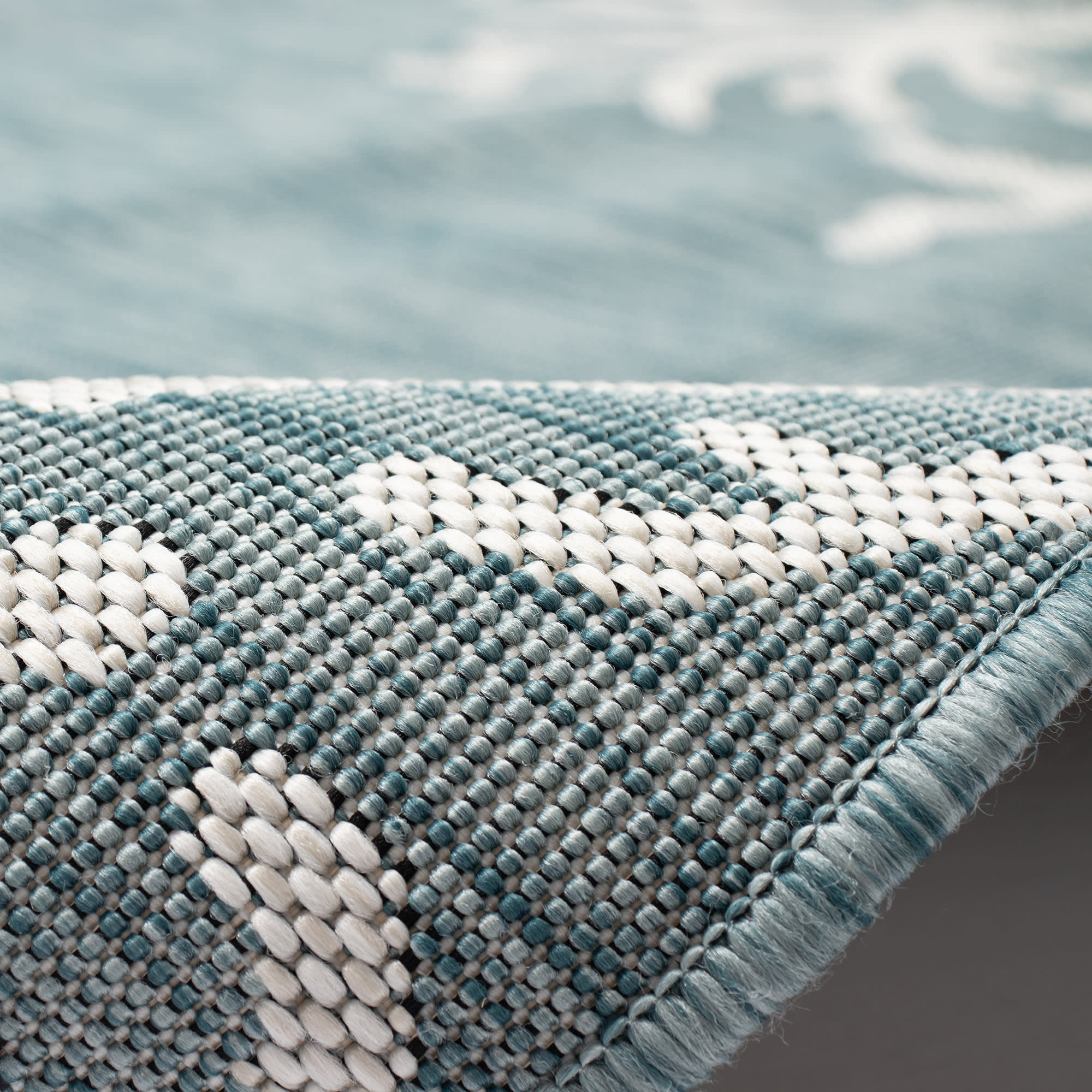 Carmel Coral Border Indoor Outdoor Area Rug