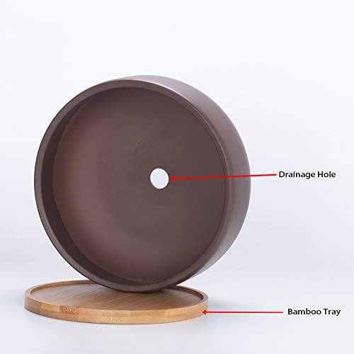 8 Inch Terracotta Clay Planter Pot with Bamboo Tray F51498