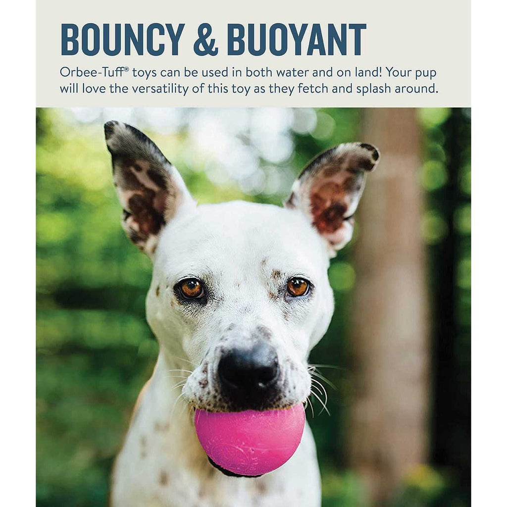 Squeak Toy Ball K990804