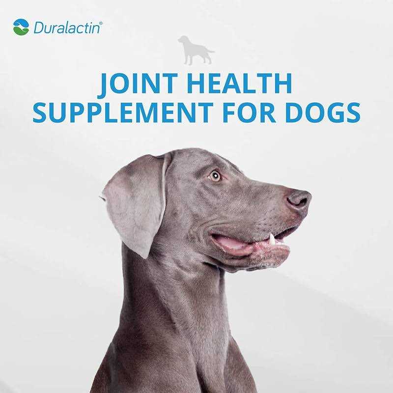 1000 mg Canine Pet Supplies F37020