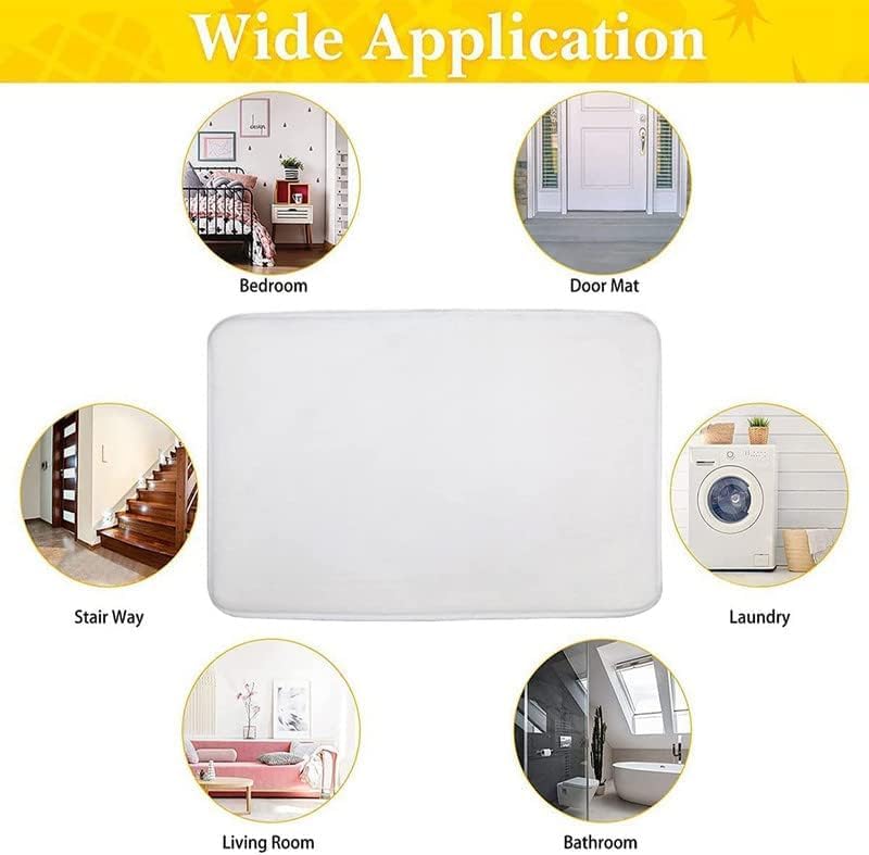 Non-Slip Door Mat 32x20in G5062
