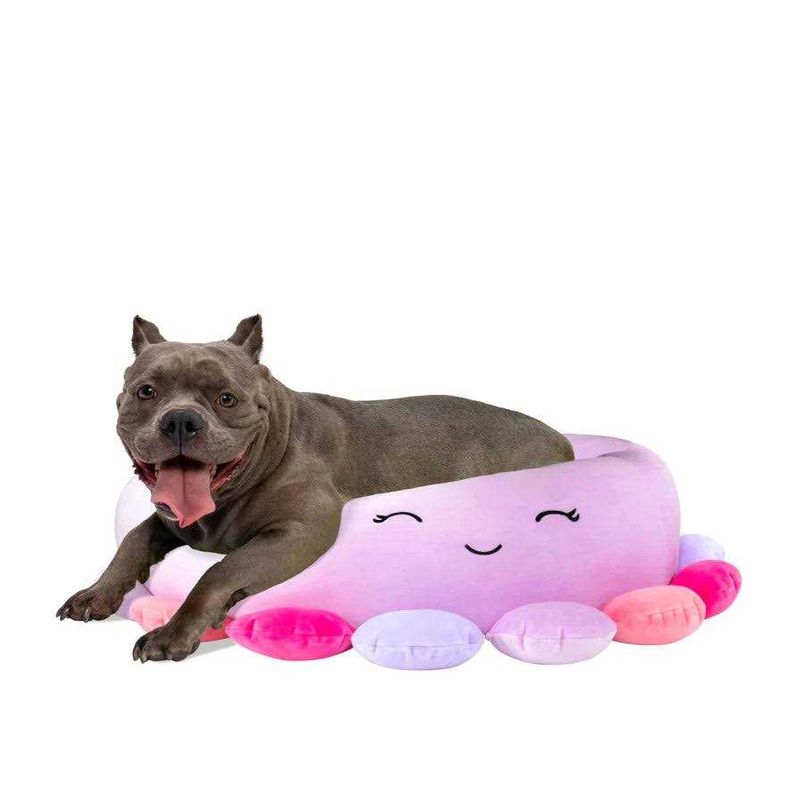 Squishmallows Octopus Pet Bed U6606