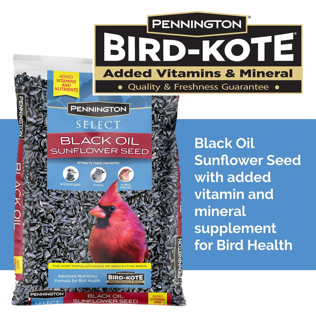 Black Oil Sunflower Seed Wild Bird Feed E8802