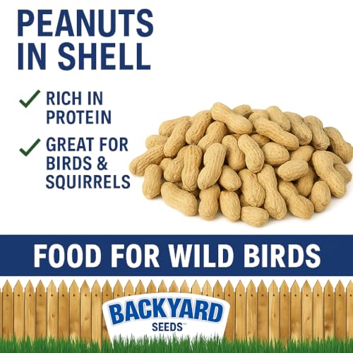 5 LB Bag Peanuts in Shell R97354