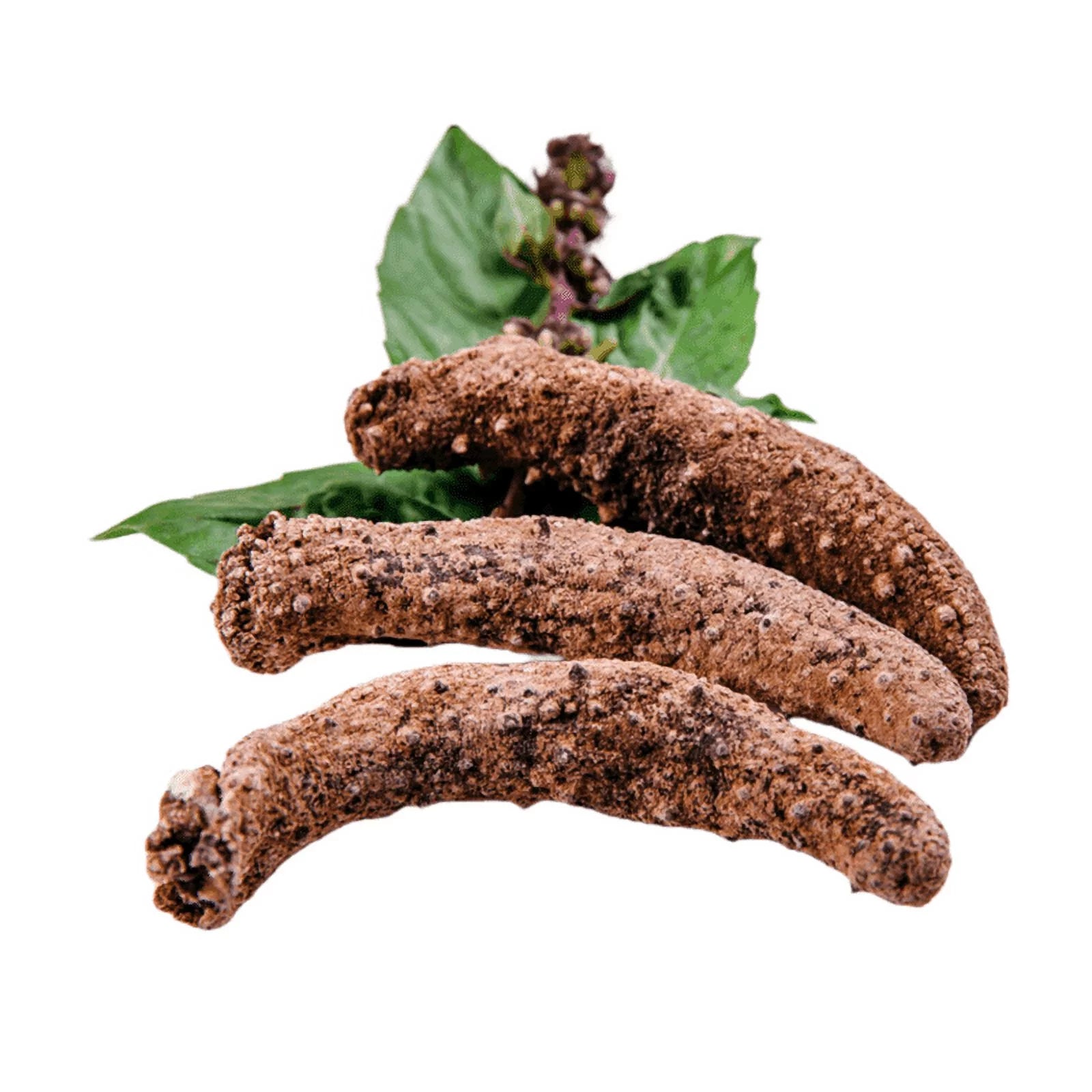 Dried Wild Caught Sea Cucumber Medium Size 5-7 pieces 4oz R2351