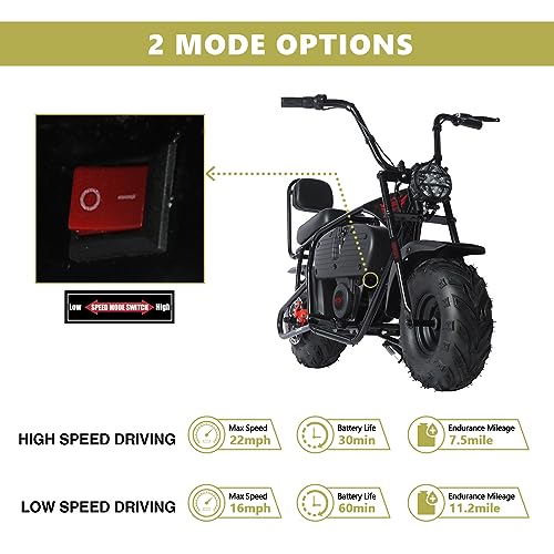 36V Battery Powered Mini Electric Bike for Kids K529