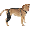 Metal Hinged Knee Brace for Dogs E475