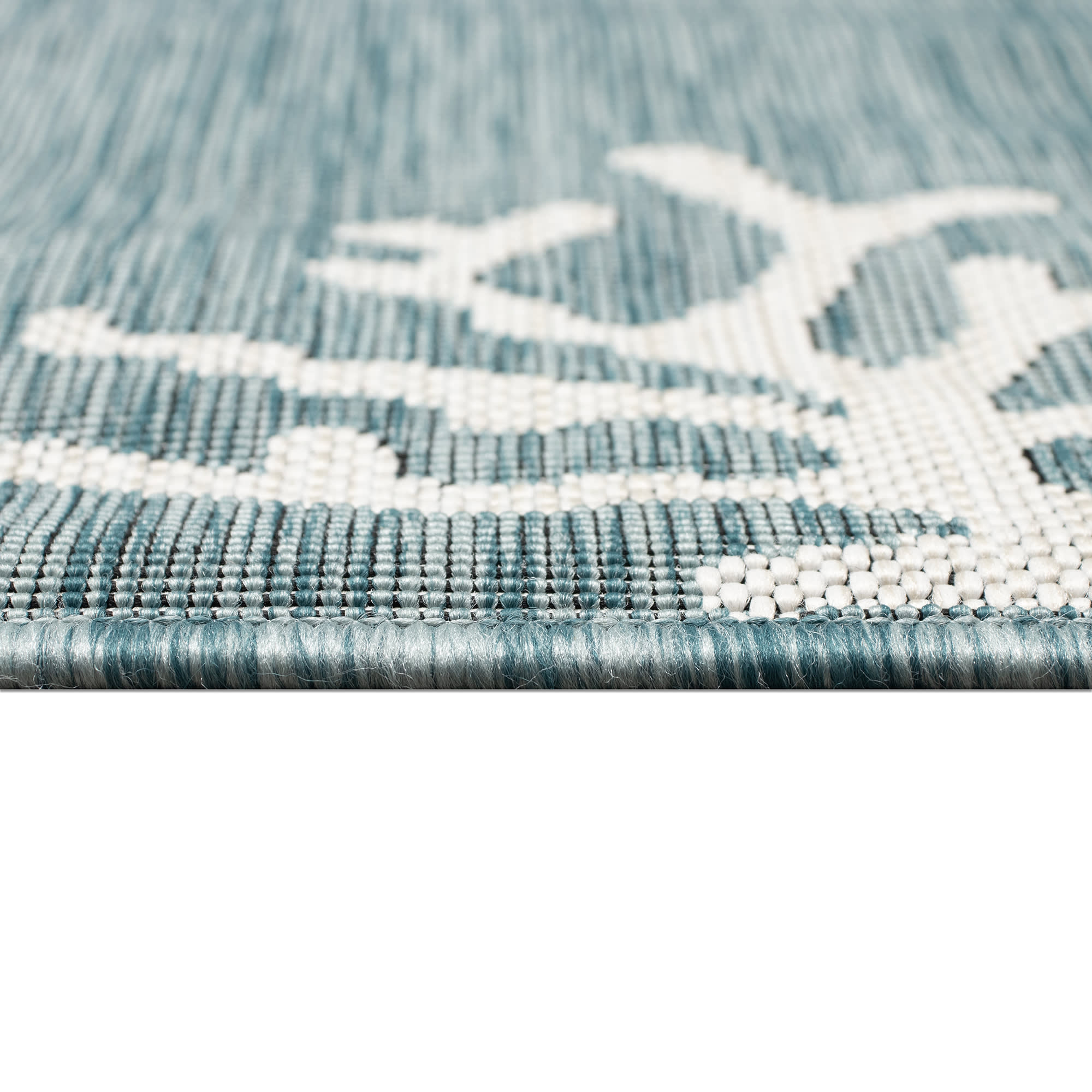 Carmel Coral Border Indoor Outdoor Area Rug