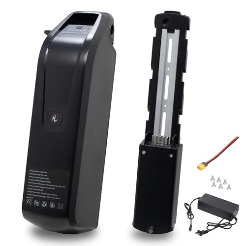 48V 10AH Lithium Electric Bike Battery with Charger I20429