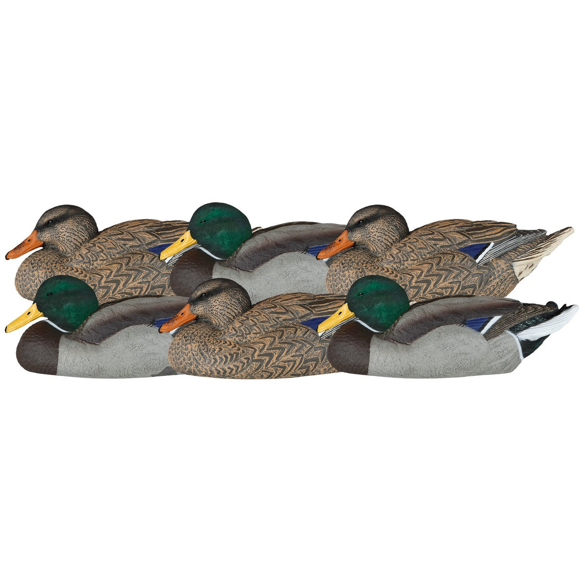 Duck Decoys with Flocked Heads Z487