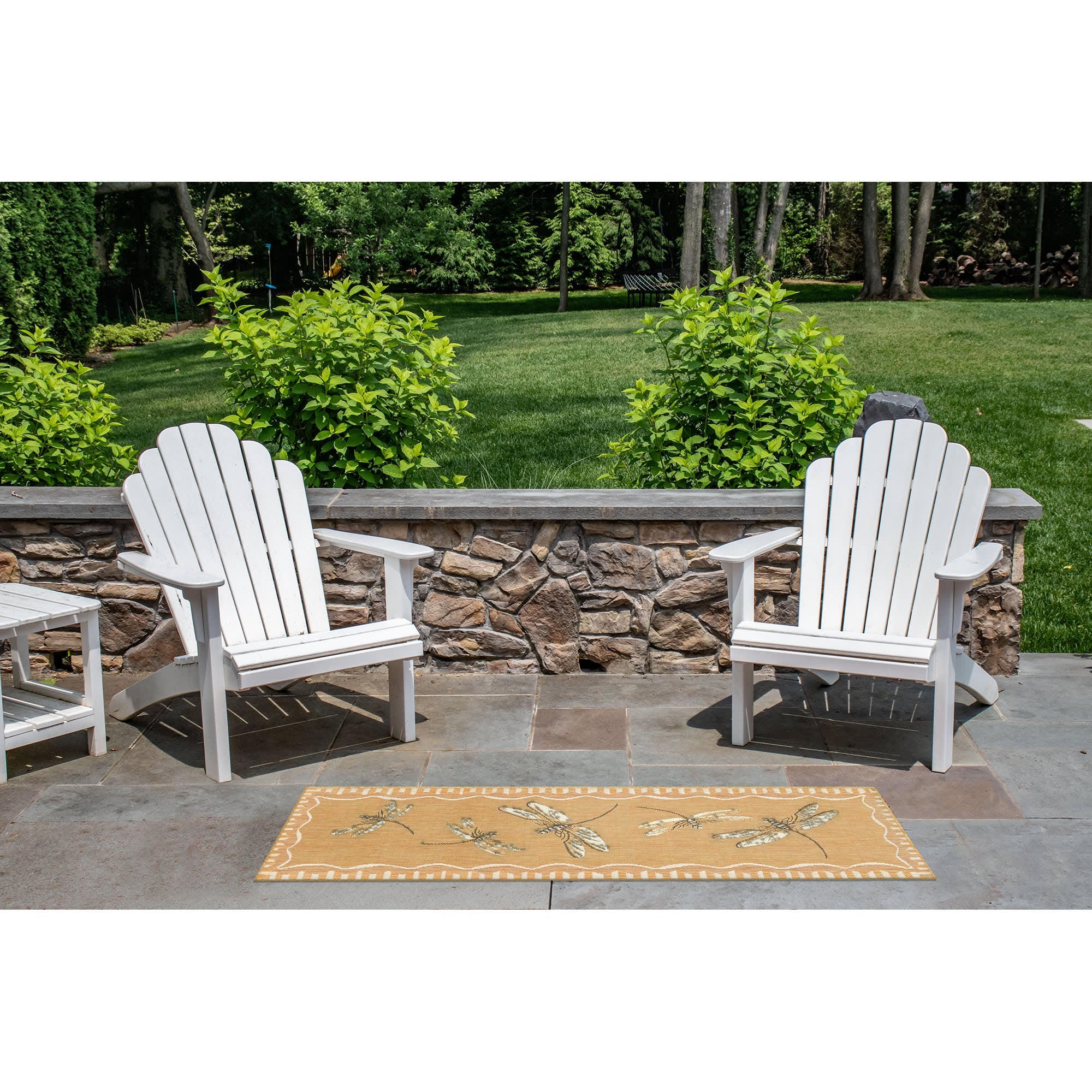 Carmel Dragonfly Indoor Outdoor Area Rug