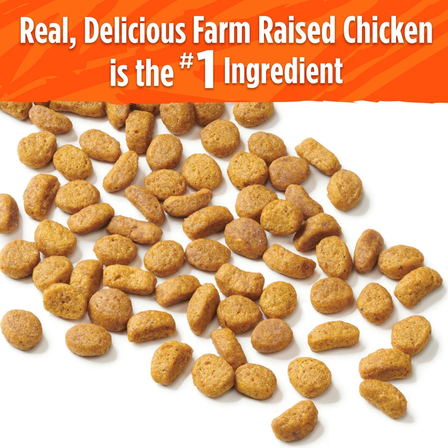 20 lb. Dry Cat Food with Real Chicken T4079