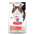 Adult Cat Dry Food Salmon D267754
