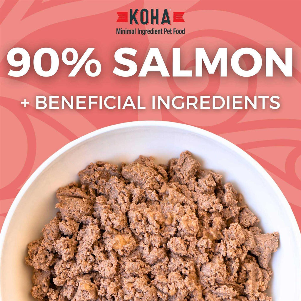 Grain & Potato Free Limited Ingredient Diet Salmon Entree with Pumpkin Canned Dog Food V1874