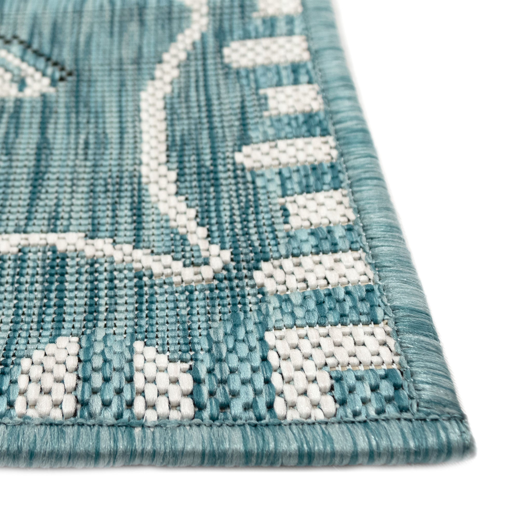 Carmel Dragonfly Indoor Outdoor Area Rug