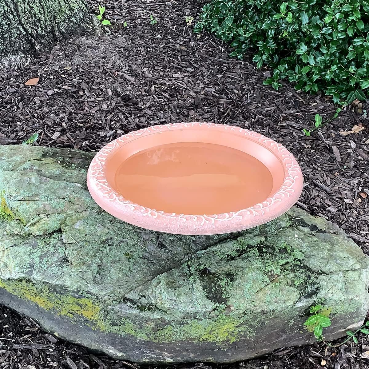 Semi-Gloss Fiber Clay Bird Bowl with Matte Rim N964538