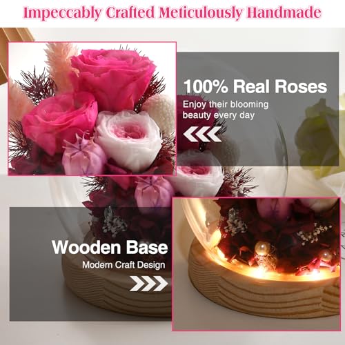 Preserved Real Rose in Glass Dome with LED Light U264