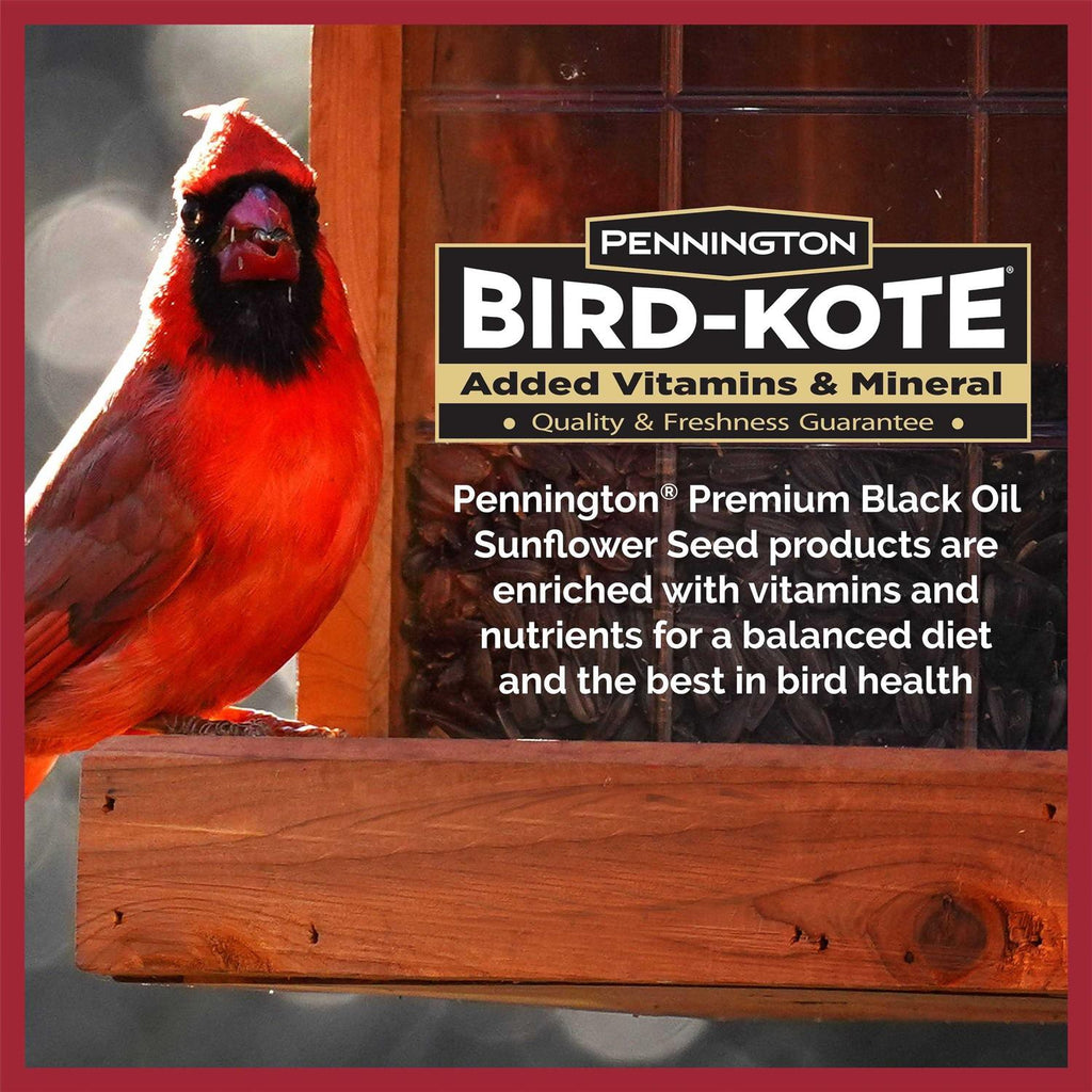 Black Oil Sunflower Seed Wild Bird Feed E8802