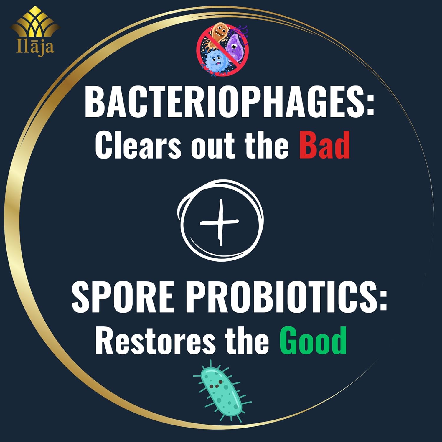 Spore Based Probiotic 120 Capsule C656