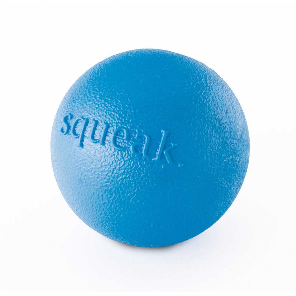 Squeak Toy Ball K990804