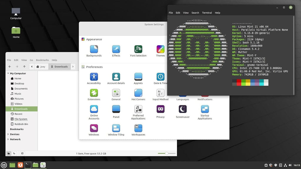 Linux Mint 21 Cinnamon 64bit USB T207