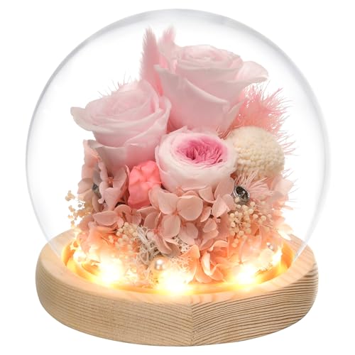 Preserved Real Rose in Glass Dome with LED Light U264