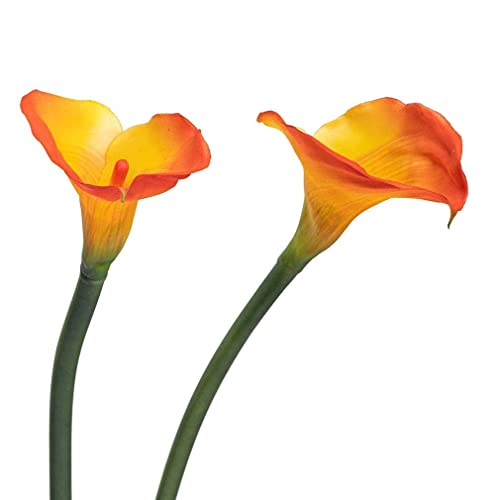 5 Pcs 25.6'' Yellow Latex Artificial Calla Lily Bouquet U79182
