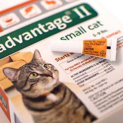 Advantage II for Cats U27279