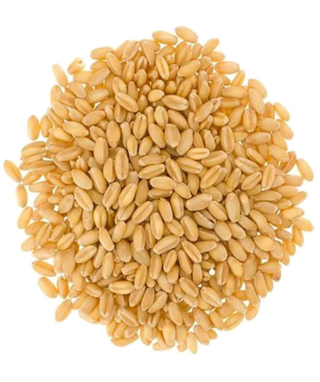 25 LBS Soft White Wheat Berries T476