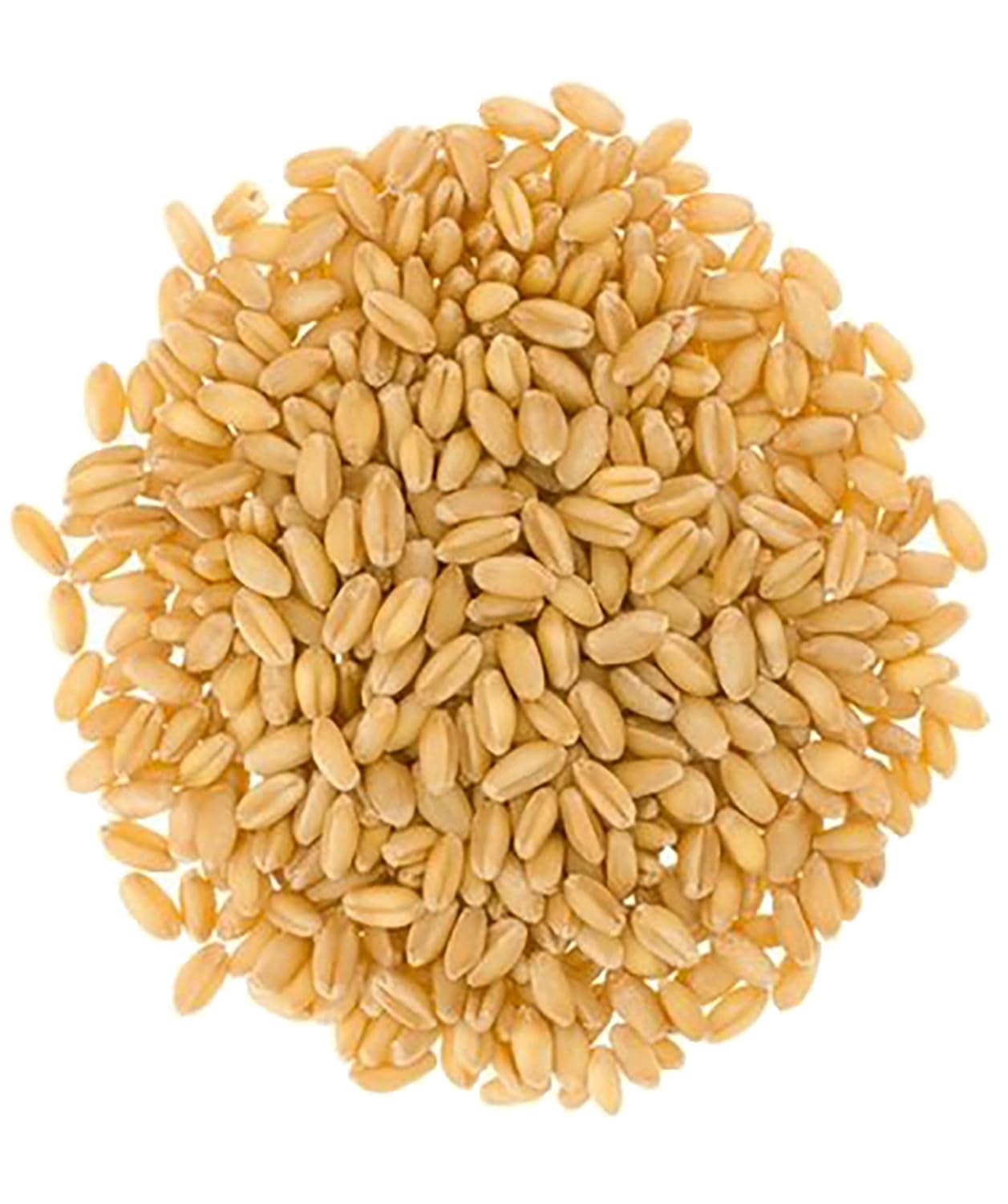 25 LBS Soft White Wheat Berries T476