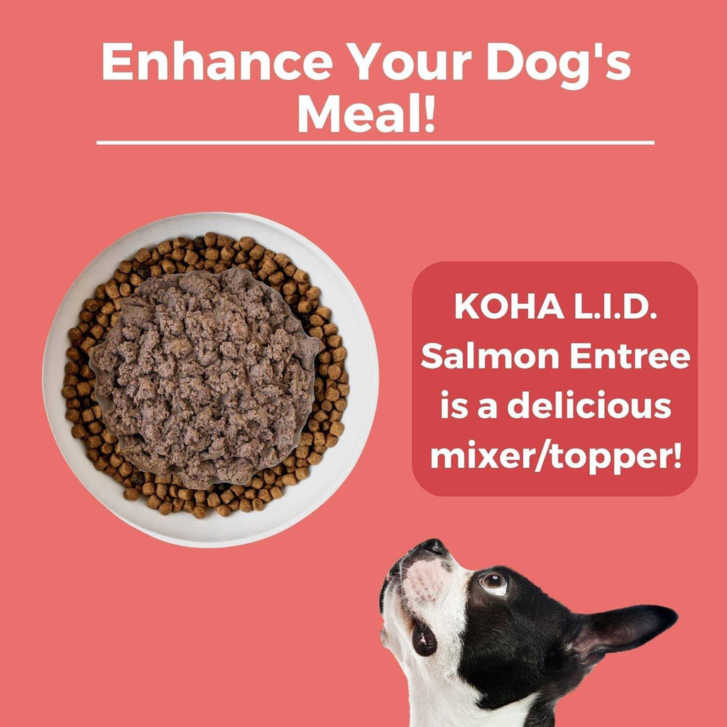 Grain & Potato Free Limited Ingredient Diet Salmon Entree with Pumpkin Canned Dog Food V1874