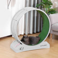31.5L Cat Exercise Wheel with Locking Mechanism Q5079