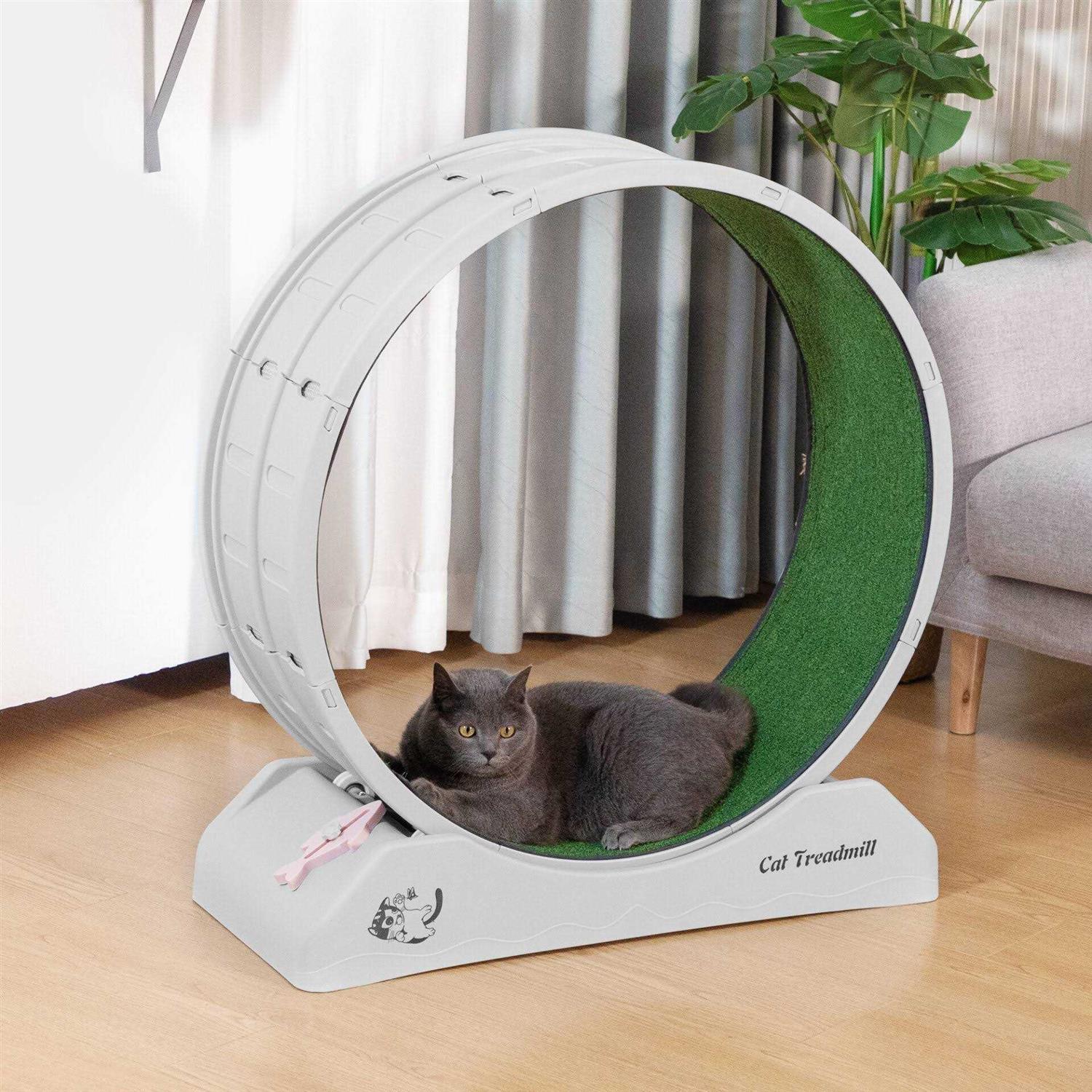 31.5L Cat Exercise Wheel with Locking Mechanism Q5079