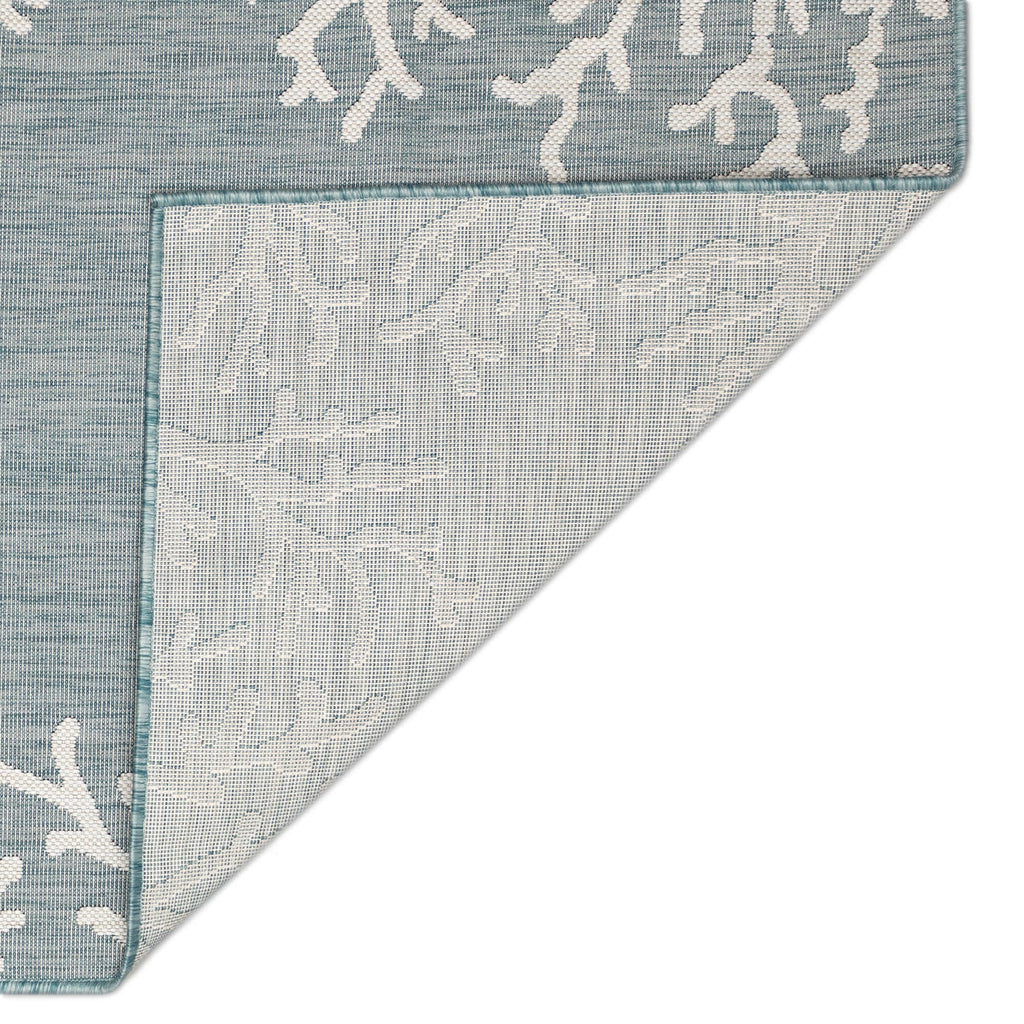 Carmel Coral Border Indoor Outdoor Area Rug