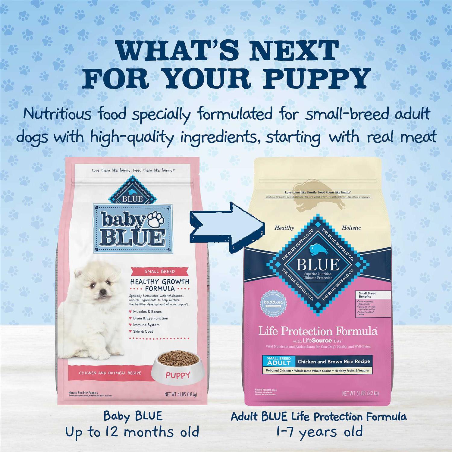 Natural Small Breed Puppy Dry Dog Food, Chicken and Oatmeal Rice Recipe 4-lb H3570
