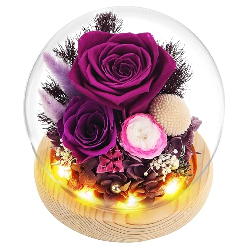 Preserved Real Rose in Glass Dome with LED Light U264