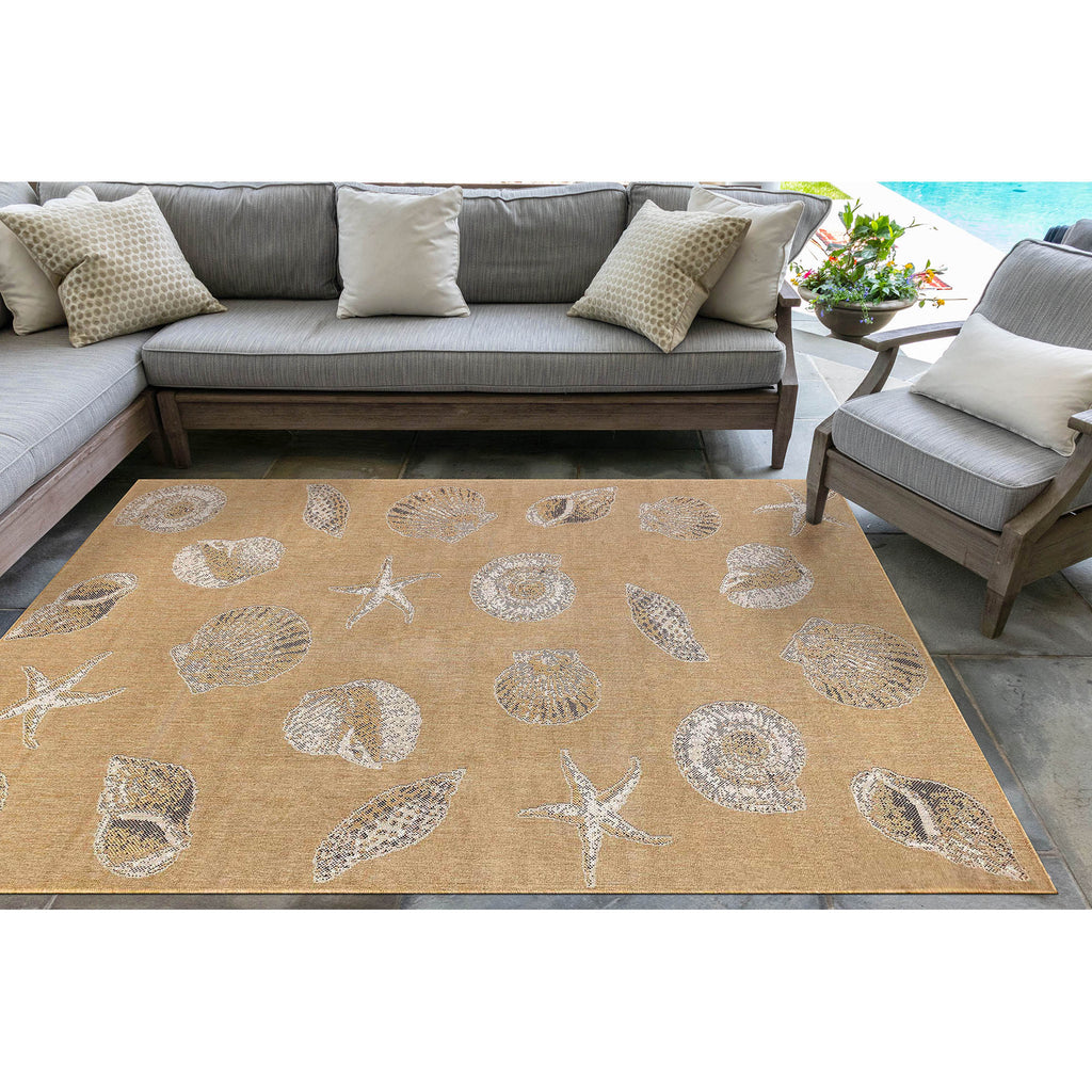 Carmel Shells Indoor Outdoor Area Rug