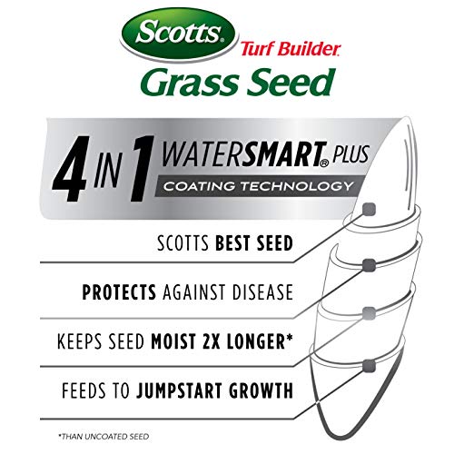 Tall Fescue Grass Seed Mix with Fertilizer and Soil Improver, 5.6 lbs. H867